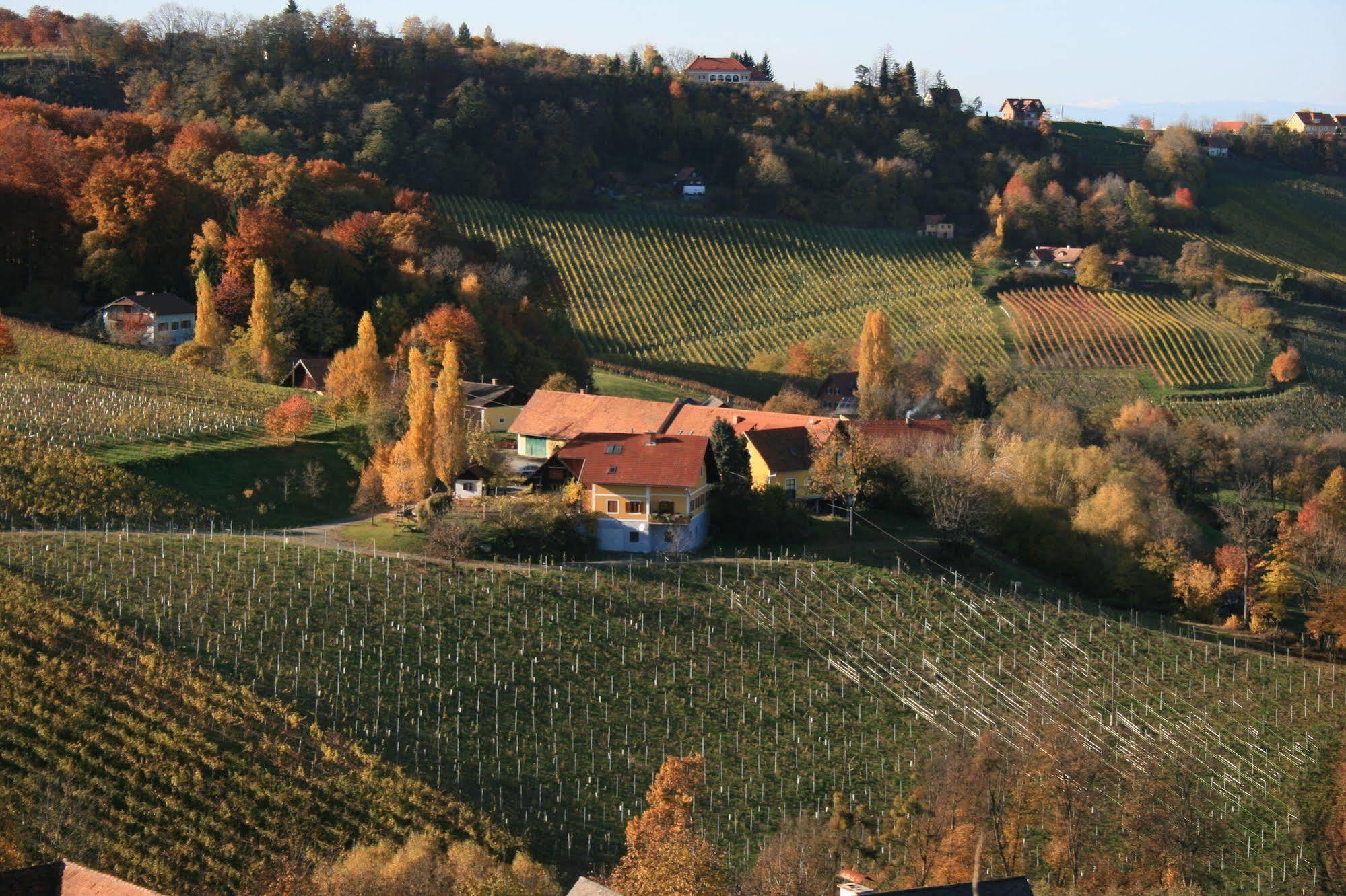 Weingut Primus Suedsteiermark 施皮尔费尔德 外观 照片