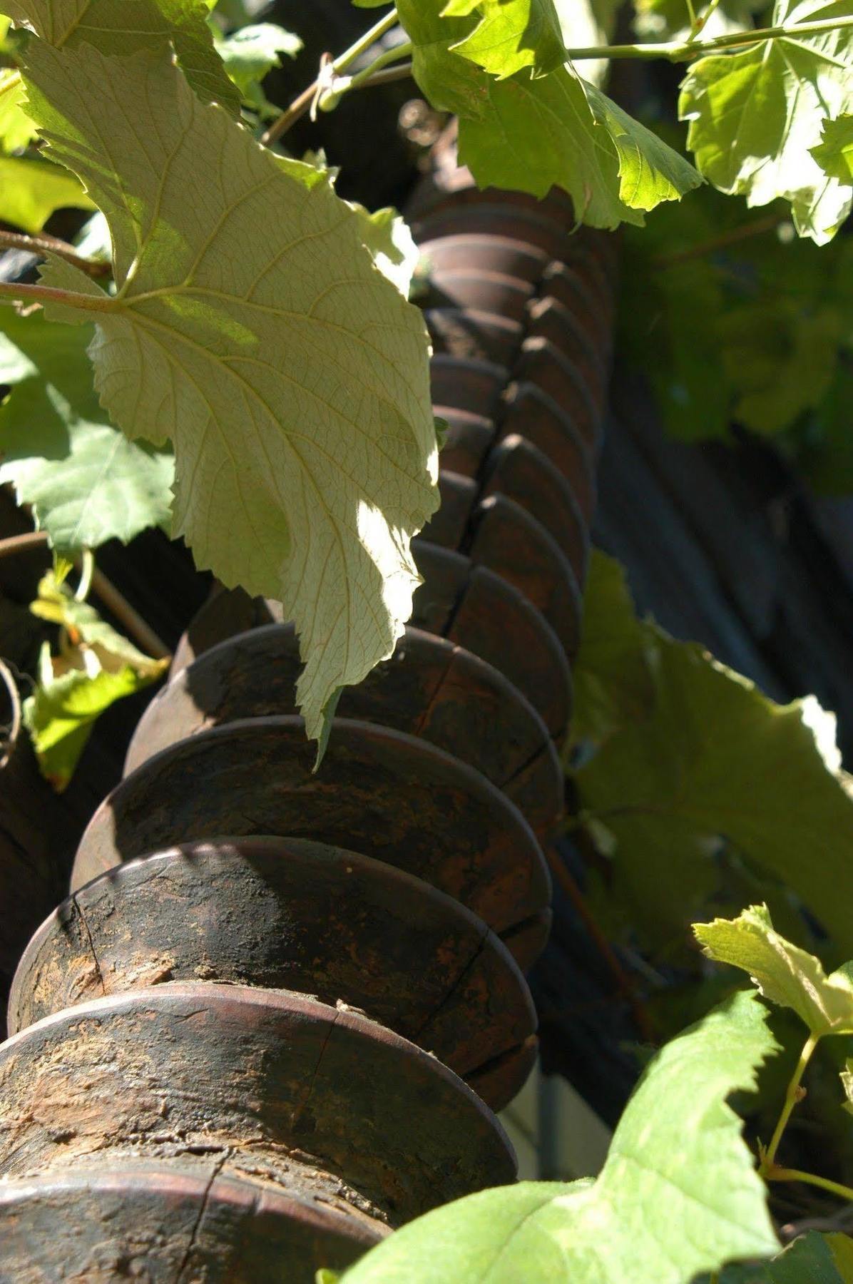 Weingut Primus Suedsteiermark 施皮尔费尔德 外观 照片
