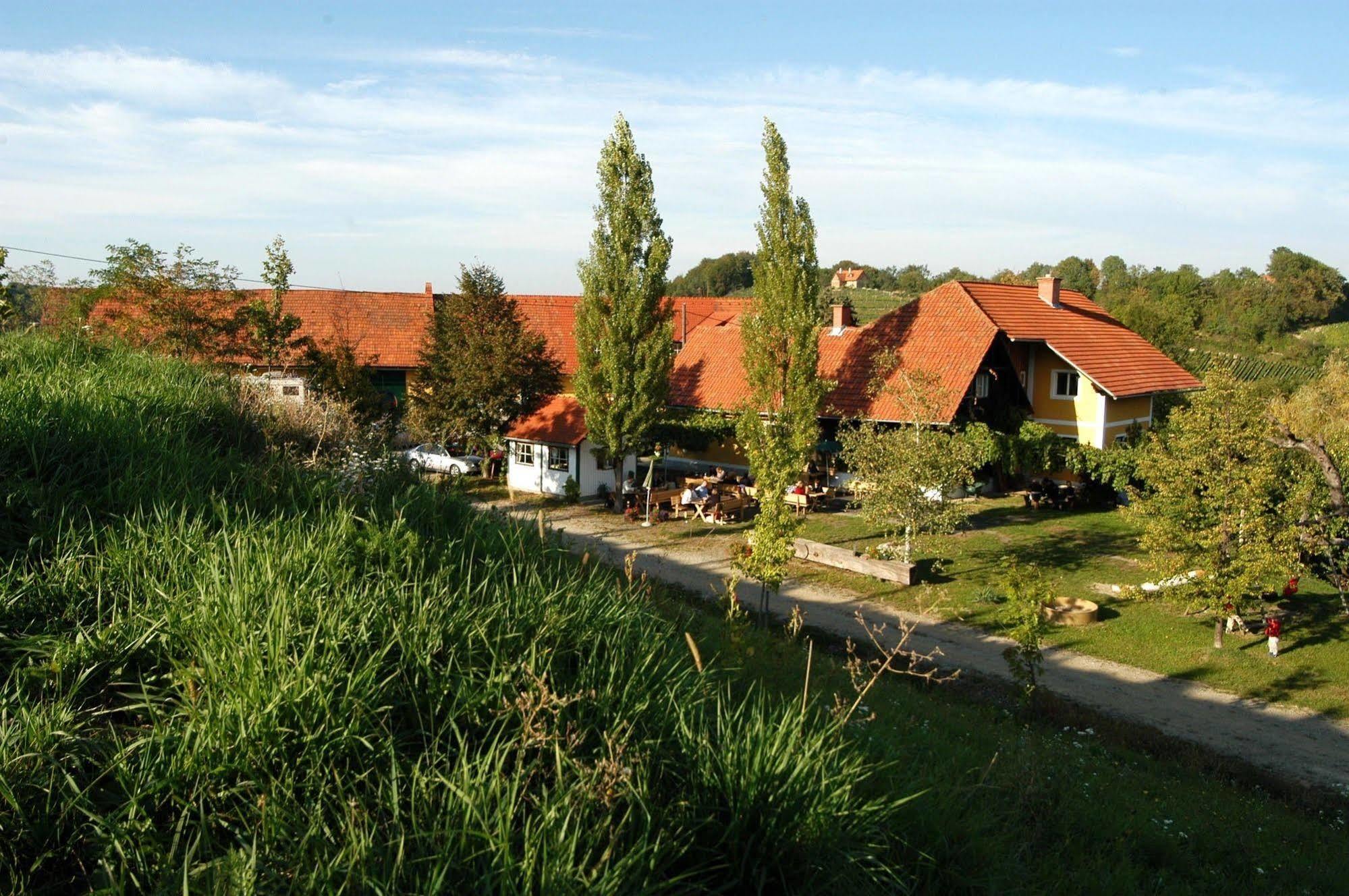 Weingut Primus Suedsteiermark 施皮尔费尔德 外观 照片