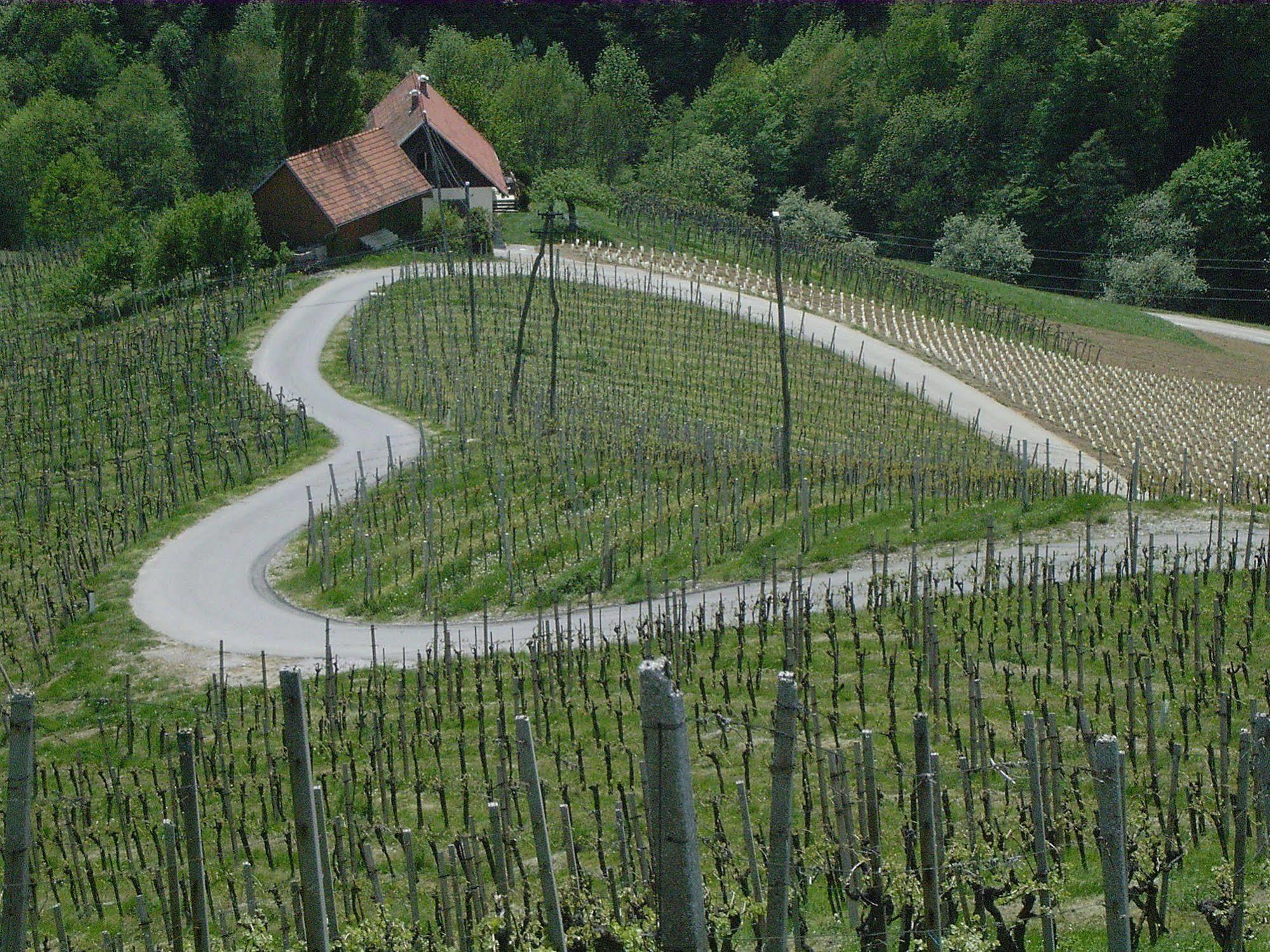 Weingut Primus Suedsteiermark 施皮尔费尔德 外观 照片
