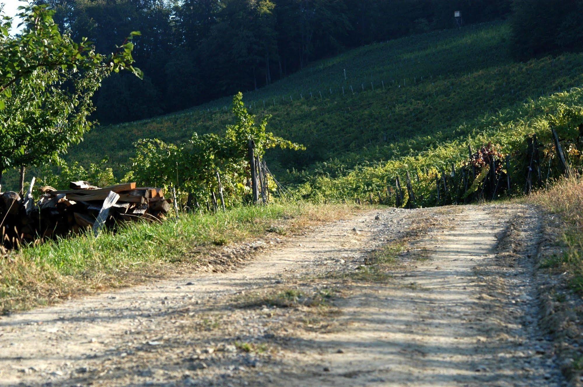 Weingut Primus Suedsteiermark 施皮尔费尔德 外观 照片